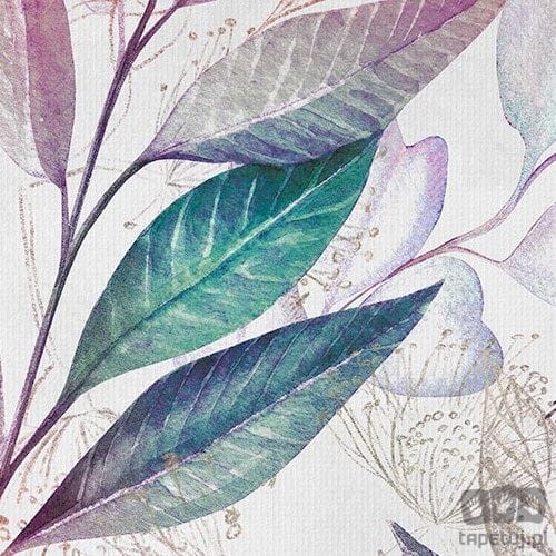 Fototapeta Eucalyptus X5-1082