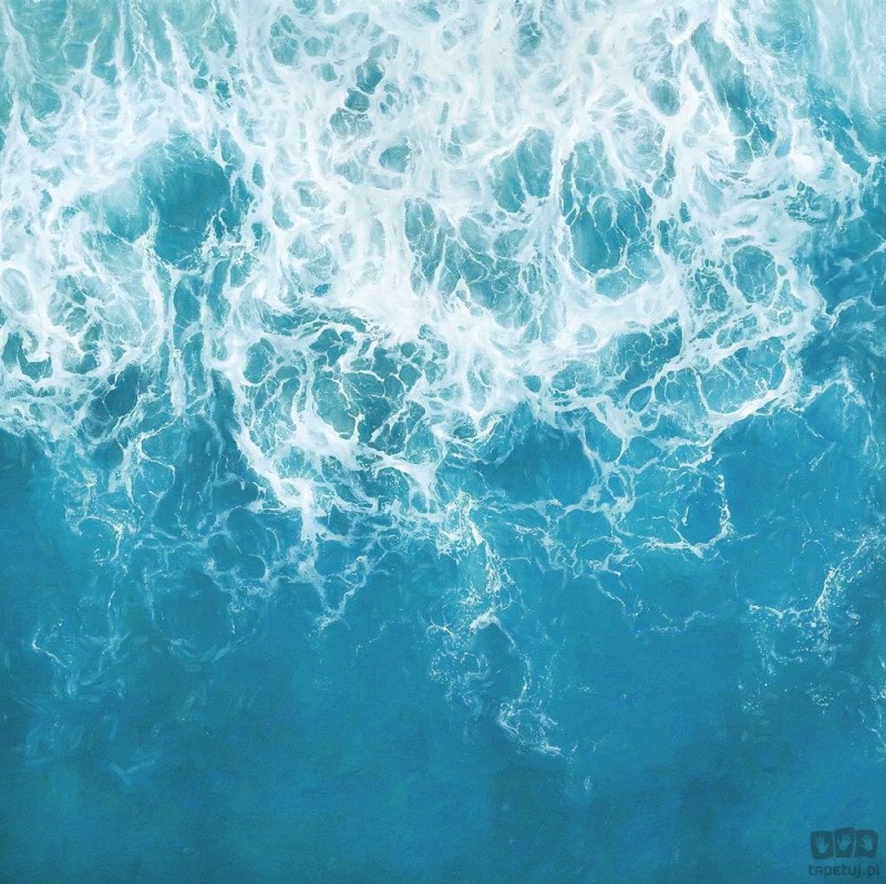 Fototapeta The Shore X5-1089