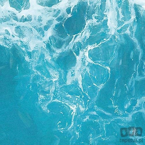 Fototapeta The Shore X5-1089