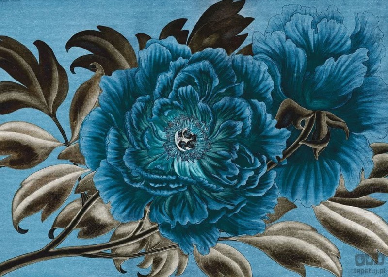 Fototapeta Royal Peony X7-1074