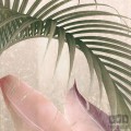 Fototapeta Rainforest Mist X7-1079