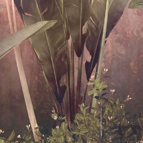 Fototapeta Rainforest Mist X7-1079