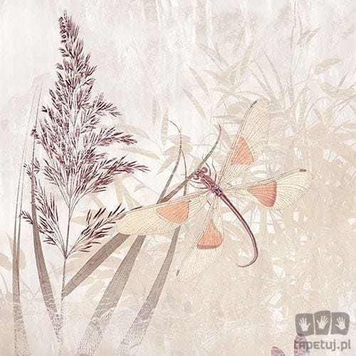Fototapeta Dragonfly Pond X7-1092