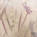 Fototapeta Dragonfly Pond X7-1092