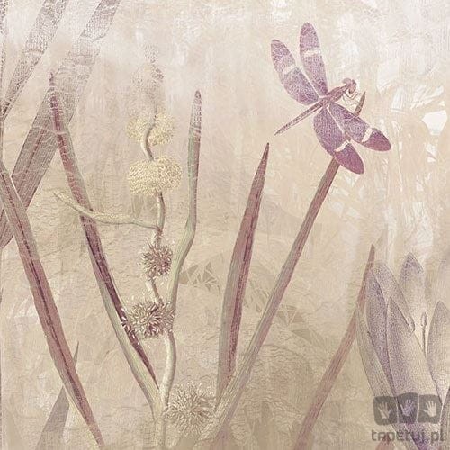 Fototapeta Dragonfly Pond X7-1092