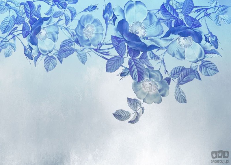Fototapeta Blue Aura X7-1094