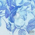 Fototapeta Blue Aura X7-1094