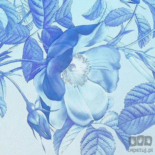 Fototapeta Blue Aura X7-1094