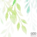 Fototapeta Summer Leaves X7-1096