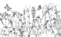 Fototapeta Butterfly Field X8-1085