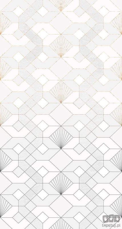 Fototapeta Coquilles Blanches HX3-008