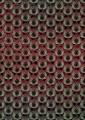 Fototapeta Paon Rouge HX4-033