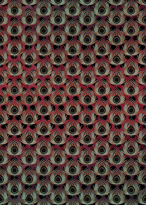 Fototapeta Paon Rouge HX4-033