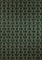Fototapeta Paon Vert HX4-034