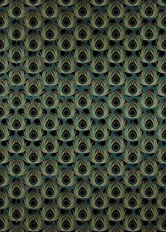 Fototapeta Paon Vert HX4-034