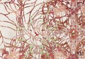 Fototapeta Art Nouveau Rouge HX5-040