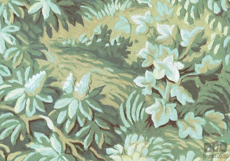 Fototapeta Botanique Vert HX6-003