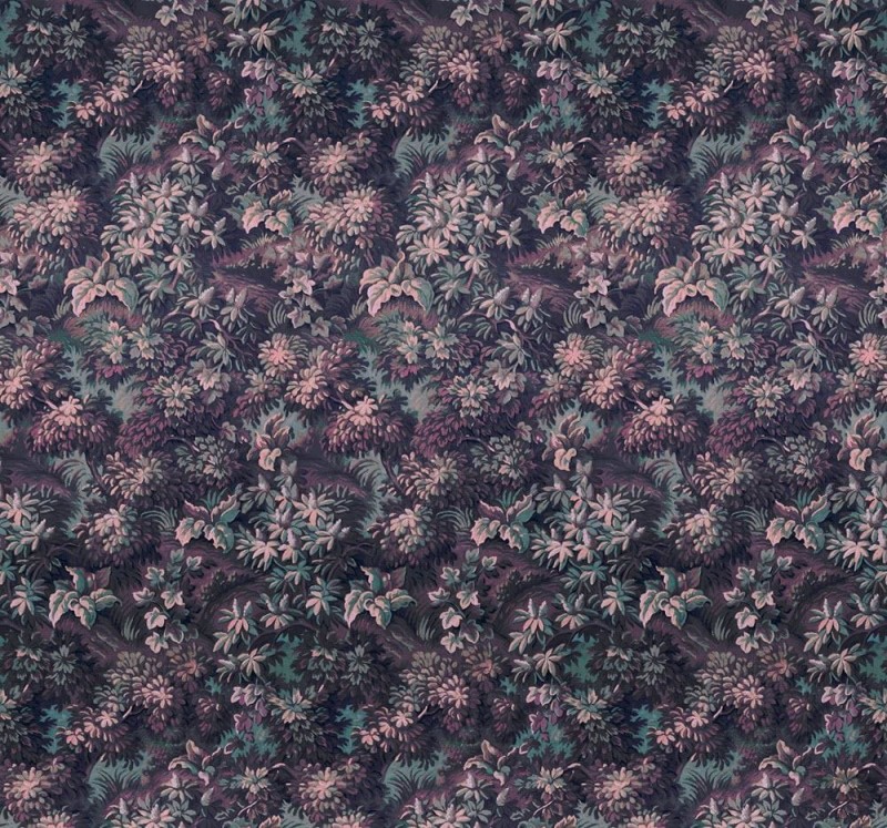 Fototapeta Botanique Aubergine HX6-006