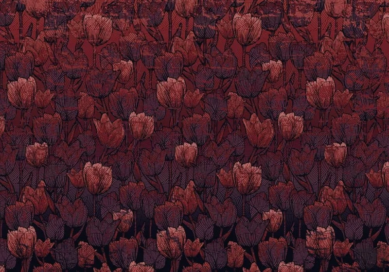 Fototapeta Tulipe HX8-051