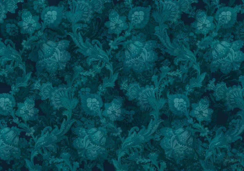 Fototapeta Fleurs de Nuit HX8-055