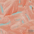 Fototapeta Coralla IAX6-0004