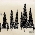 Fototapeta Backcountry IAX6-0031