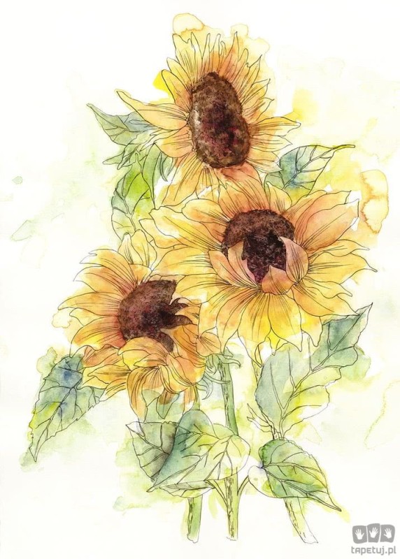 Fototapeta Girasol X4-1008