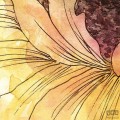 Fototapeta Girasol X4-1008