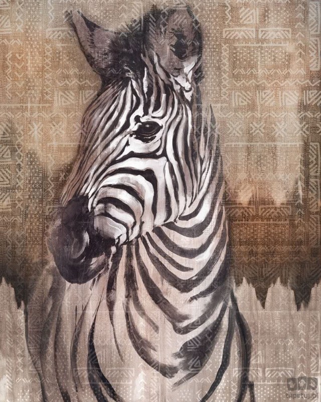 Fototapeta Zebra X4-1010