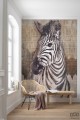 Fototapeta Zebra X4-1010