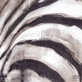 Fototapeta Zebra X4-1010