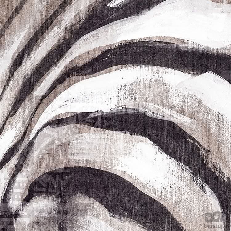 Fototapeta Zebra X4-1010