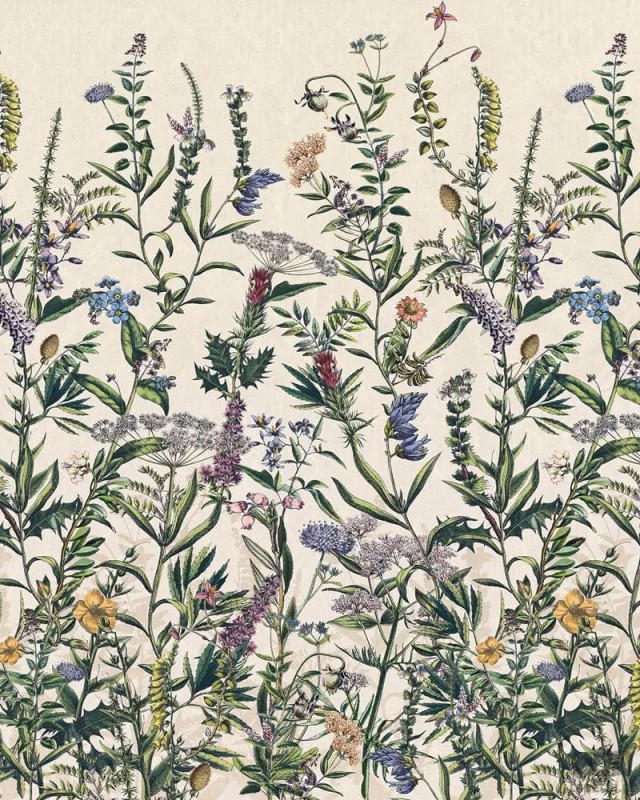 Fototapeta Flowering Herbs X4-1011