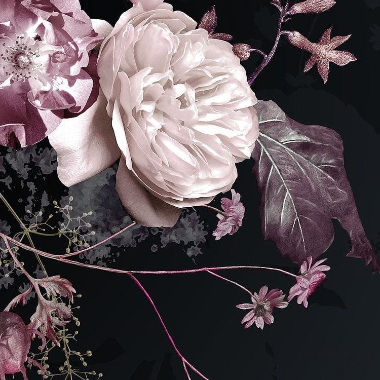 Fototapeta Bouquet Noir X4-1018