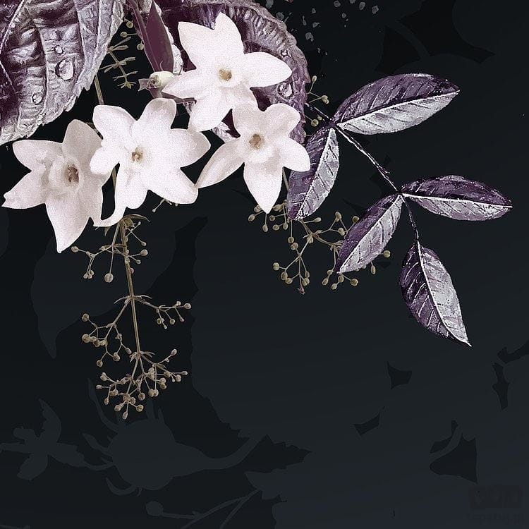 Fototapeta Bouquet Noir X4-1018