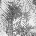 Fototapeta Cocco X4-1019