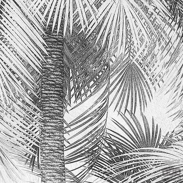 Fototapeta Cocco X4-1019
