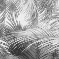 Fototapeta Cocco X4-1019