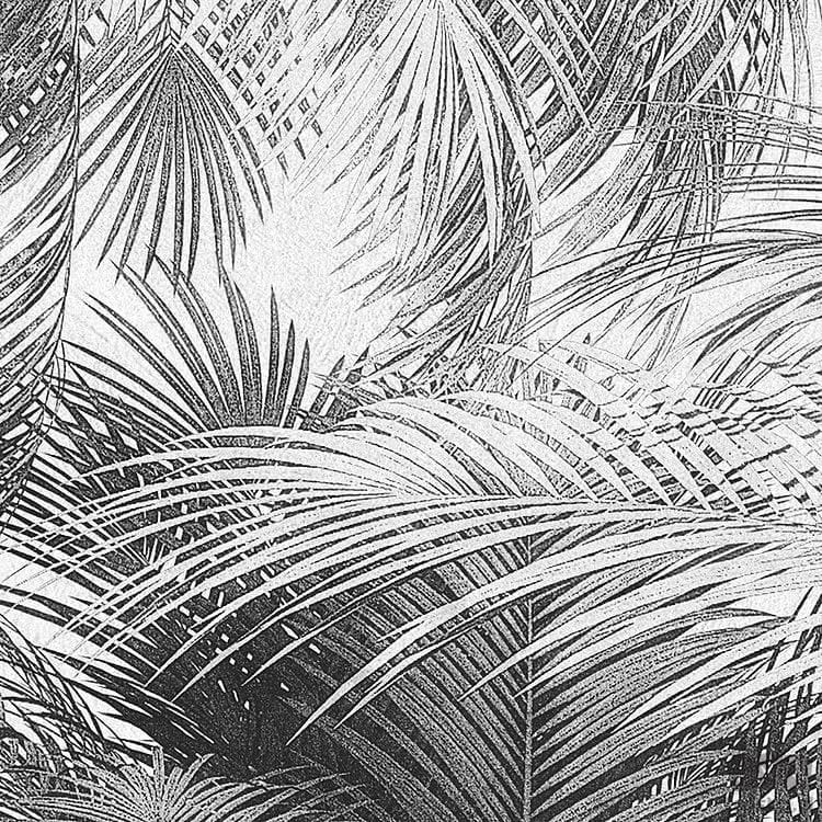 Fototapeta Cocco X4-1019