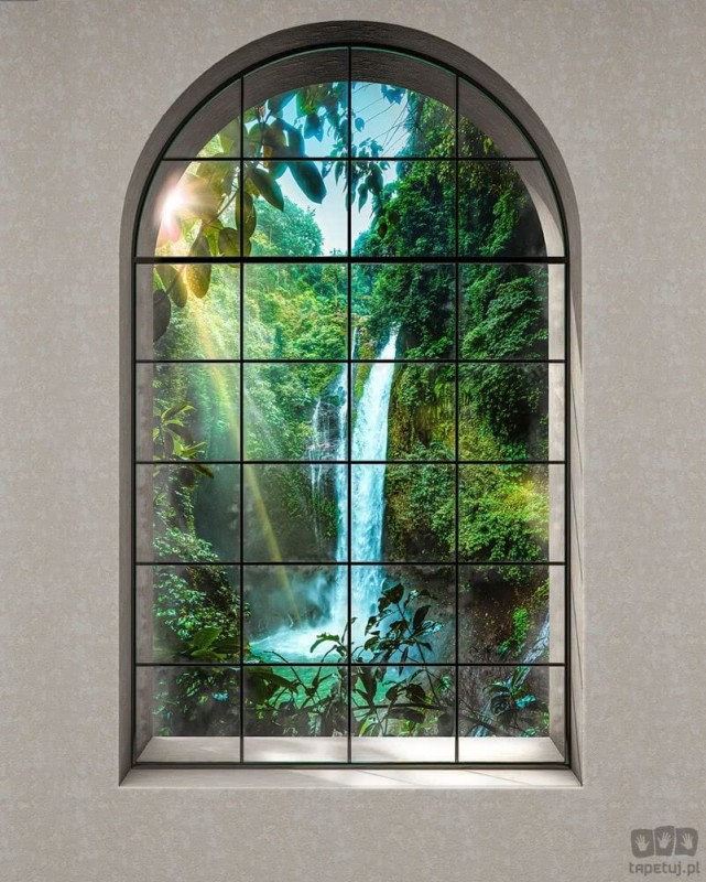 Fototapeta Rainforest X4-1024