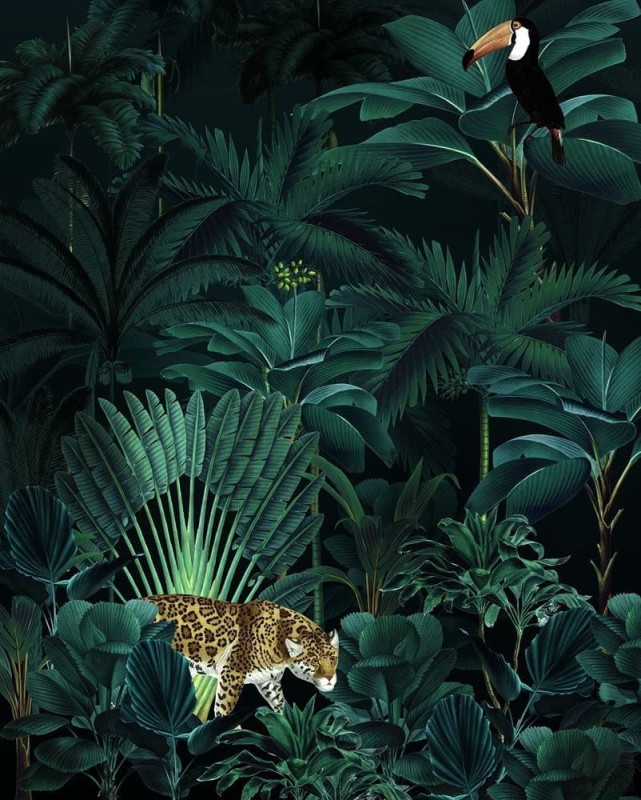 Fototapeta Jungle Night X4-1027