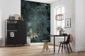 Fototapeta Jungle Night X4-1027