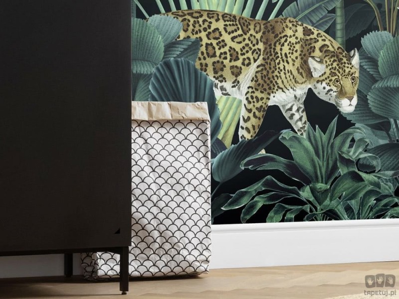 Fototapeta Jungle Night X4-1027