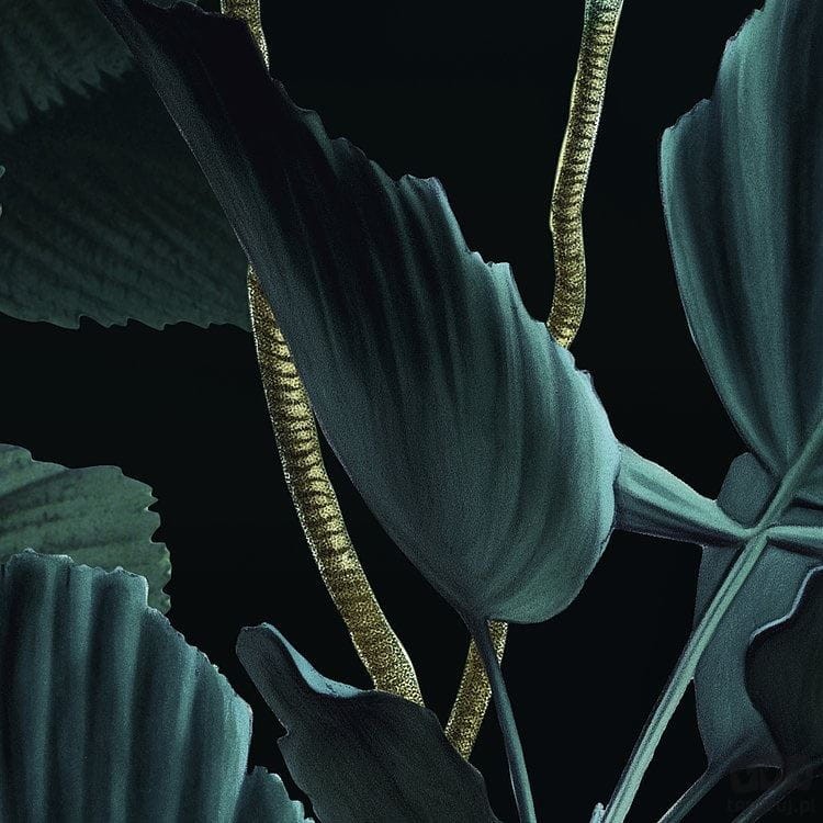 Fototapeta Jungle Night X4-1027