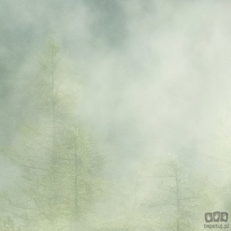 Fototapeta Misty Crowns X7-1003