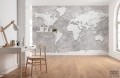 Fototapeta World Relief X7-1007
