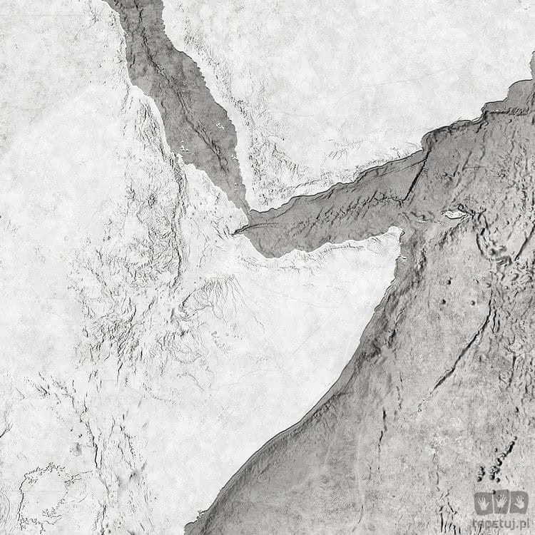 Fototapeta World Relief X7-1007
