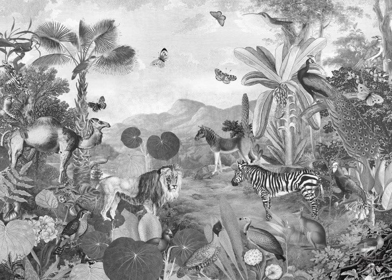 Fototapeta Flora and Fauna X7-1016