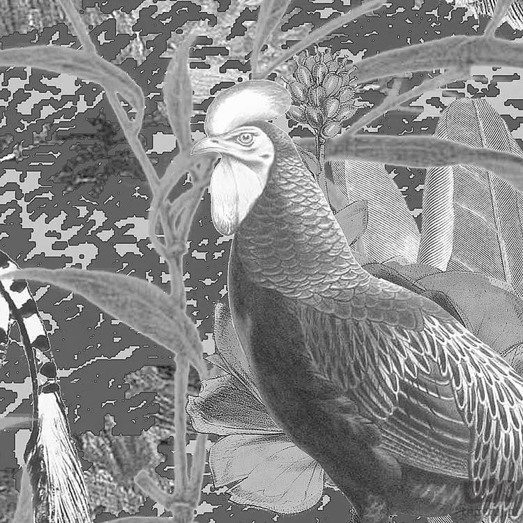 Fototapeta Flora and Fauna X7-1016