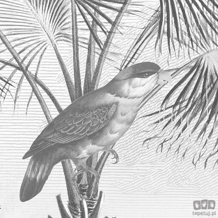 Fototapeta Flora and Fauna X7-1016